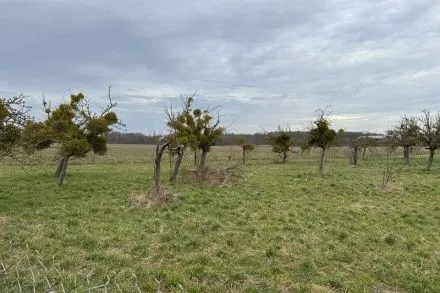 Terrain à bâtir de 464 m² à Bû
